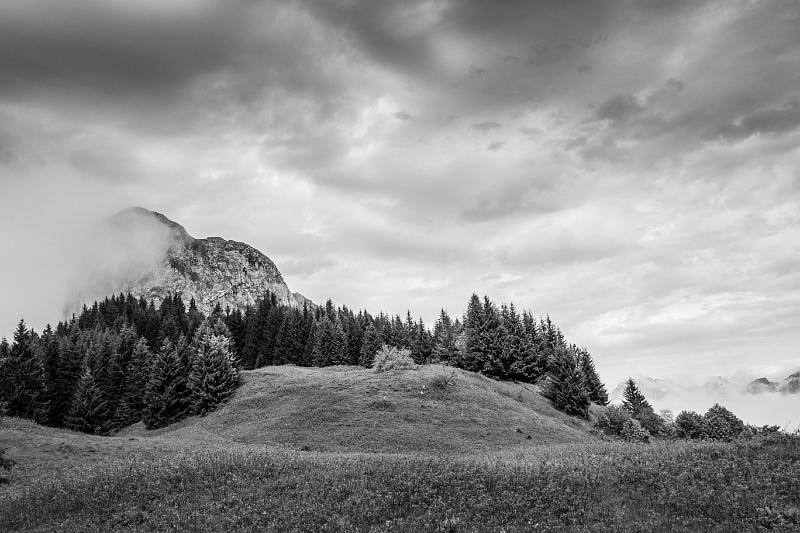 2019_06_09 (0043).jpg - Massif d'Arclosan (Juin 2019)